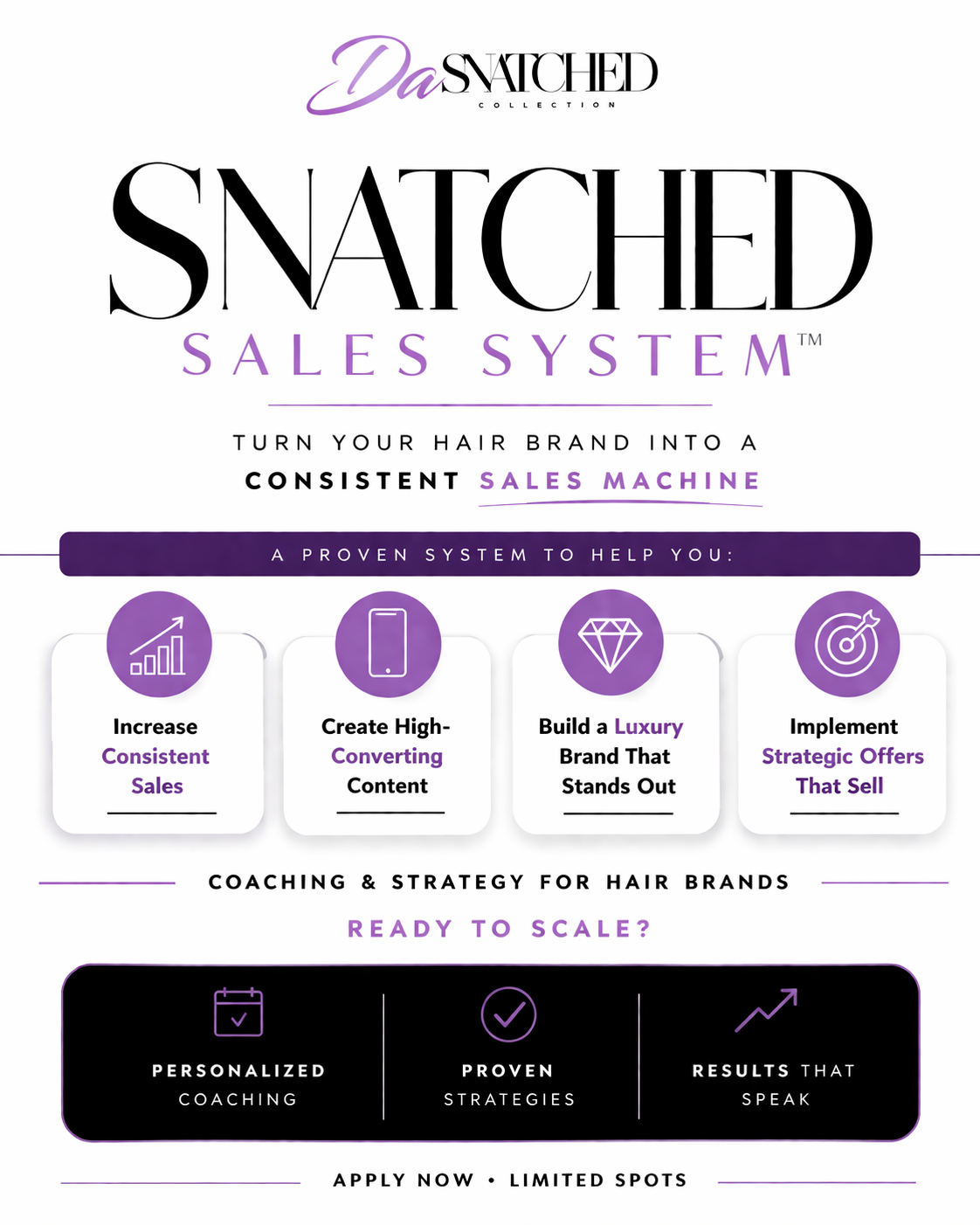 Snatched Sales System Academy